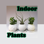 Indoor Plants Apk