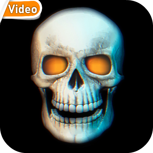 Skull 3D Video Theme Wallpaper logo