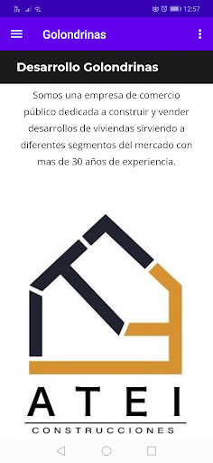 ATEI Golondrinas Screen 3