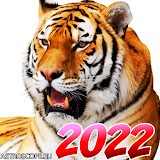 ГОРОСКОП 2022  -  Знаки Зодиака icon