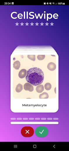 CellSwipe Screen 3
