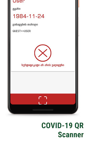 Georgia Validator Screen 3