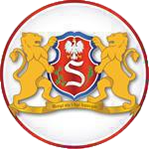 SADOWINSKI logo