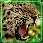 Cover Image of 下载 Wild Leopard and Jaguars  APK