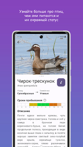 Птицы Средней Волги Screen 3