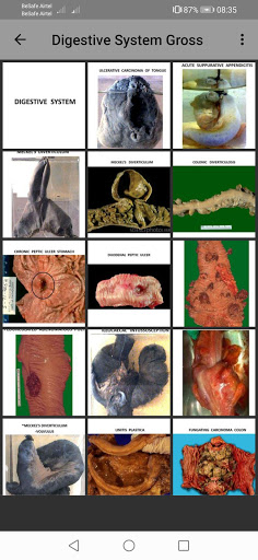 Pathology Atlas Professional