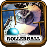 Rollerball: Animal Royalties icon