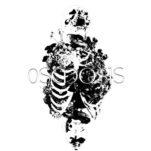 OSMOSIS logo