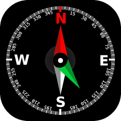 GPS Tacho digital + Kompass weiß/chrom, CN0885W