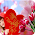 Friendship Day Wishes Images App 2021