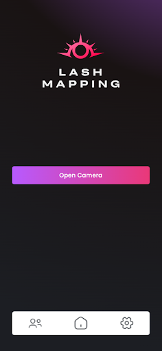 Lash Mapping Screen 2