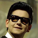 Cover Image of 下载 ROY ORBISON ALL SONGS 2020 1.0 APK