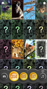 Cat therapy - jigsaw puzzles with cats purring