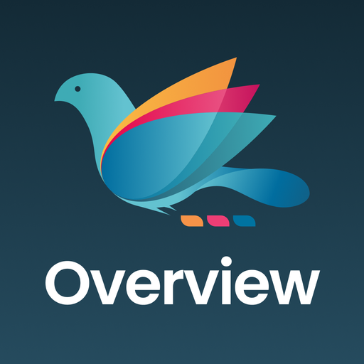 Overview  Icon