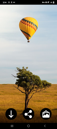 Balloon Wallpapers Screen 2