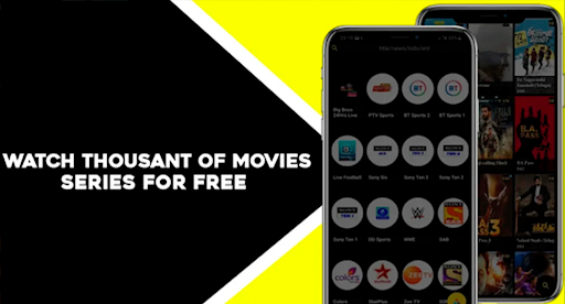 Picasso Cricket  Movies Guide