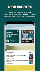 Live Score Widgets for Third Party Sites – Play-Cricket