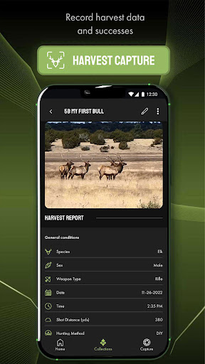 Harvest Score Screen 3