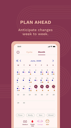 Emme Pill and Health Tracker