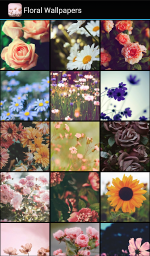 Android application Floral Wallpapers screenshort