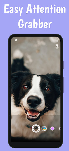 Squeaky Camera App pet camera Screen 2