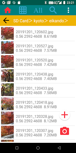 Camera with File Manager Screen 2