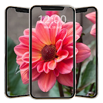 Cover Image of Télécharger Flower Wallpaper Full HD 4.0 APK