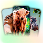 Cover Image of Download Animal Learning For Toddlers  APK