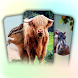 Flashcards for kids: Animals - Androidアプリ