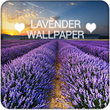 Lavender Wallpapers QHD icon