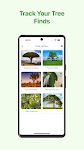 screenshot of Wood Identifier: AI Scanner