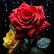 Rose Wallpaper 4K Live - Androidアプリ