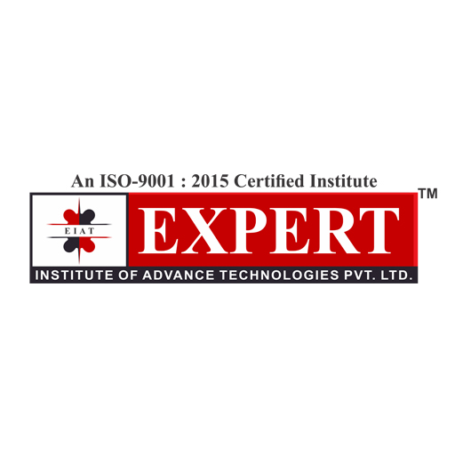 EXPERT logo