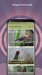 Hoopoe Bird Song