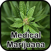 Medical Marijuana Treatment  Icon