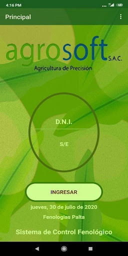 Fenología Palta