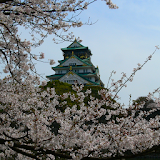 Osaka Castle(JP058) icon