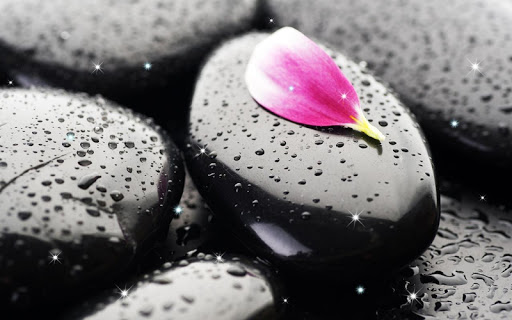 Download Zen Live Wallpaper Free For Android Zen Live Wallpaper Apk Download Steprimo Com