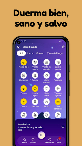 Vista previa de la aplicación