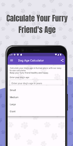 Dog Age Converter Screen 2