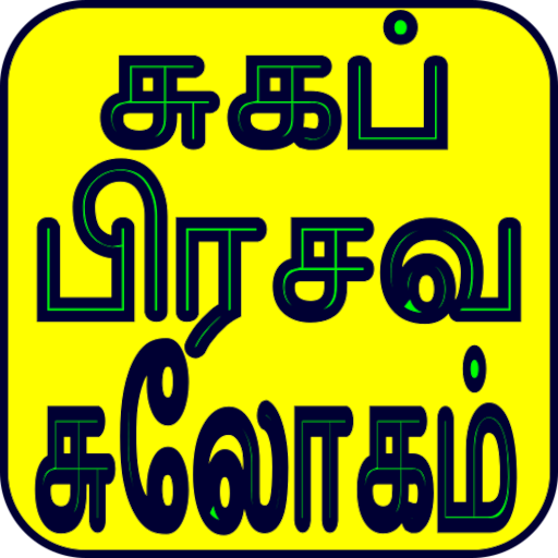 Safe delivery slokam logo