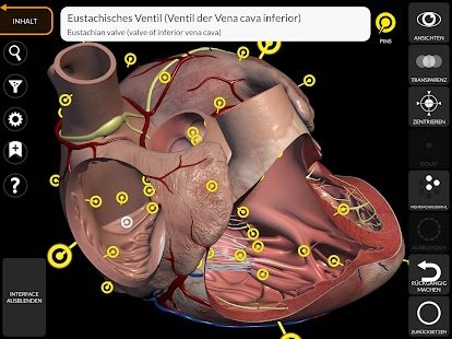 Anatomie - 3D Atlas Screenshot