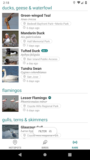Screenshot of GoBird - Guide to Nearby Birds