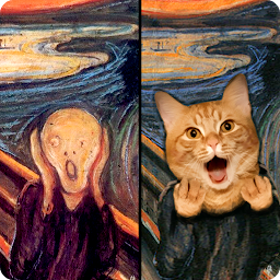 Icon image Cat! Spot the difference