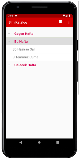 Bim  A101 Aktüel Ürünler