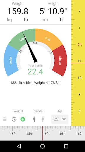 Screenshot of BMI Calculator
