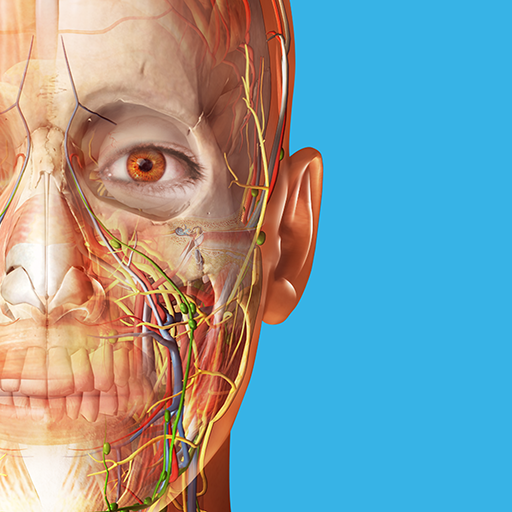 Human Anatomy Atlas 2023 - Ứng Dụng Trên Google Play