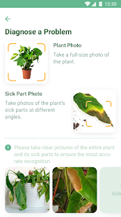 NatureID: Plant Identification screenshots 2