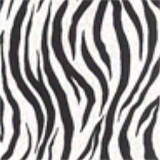 Zebra Print Apex Icon Pack icon