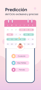 Femometer Embarazo Calendario